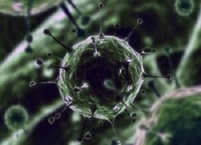 Bacterial microorganisms as a cause of prostatitis